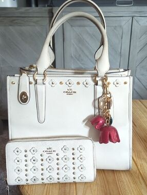 NFS🍒Coach Crosby Carryall🍒(Private Collection)